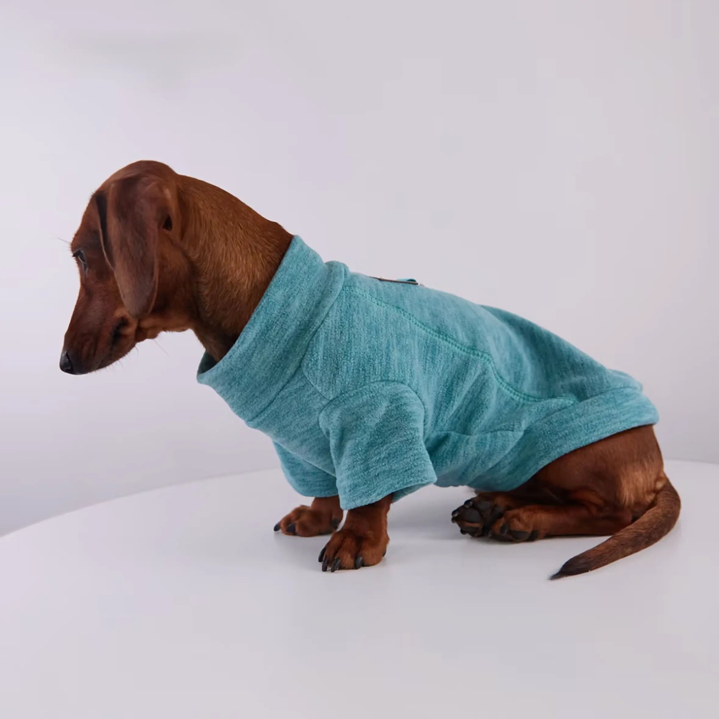 Soft Terry Dog Coat