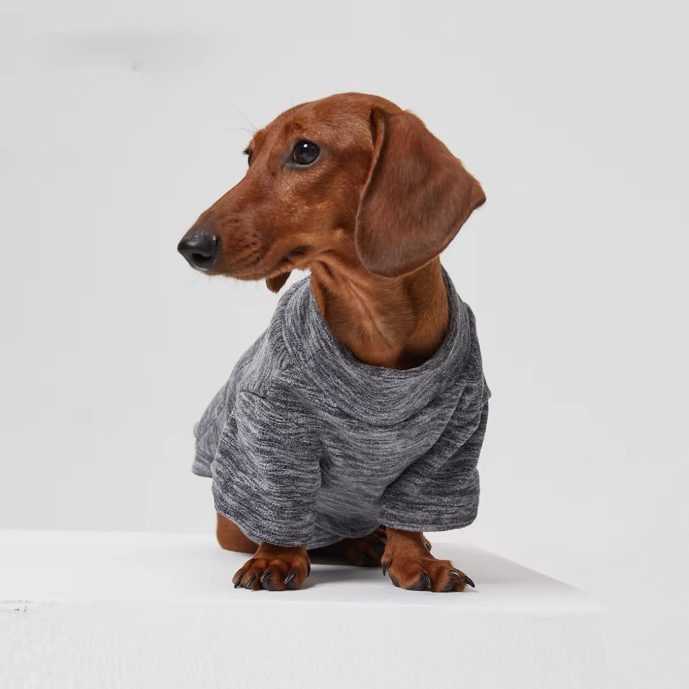 Soft Terry Dog Coat