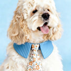 Stripe Collar Floral Tie Pet Bandana