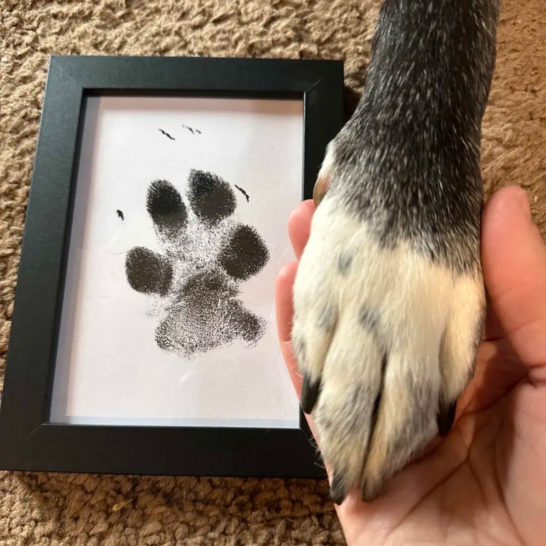 Paw Print Wooden Photo Frame Set