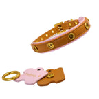 DIY Customizable Accessory Pet Collar