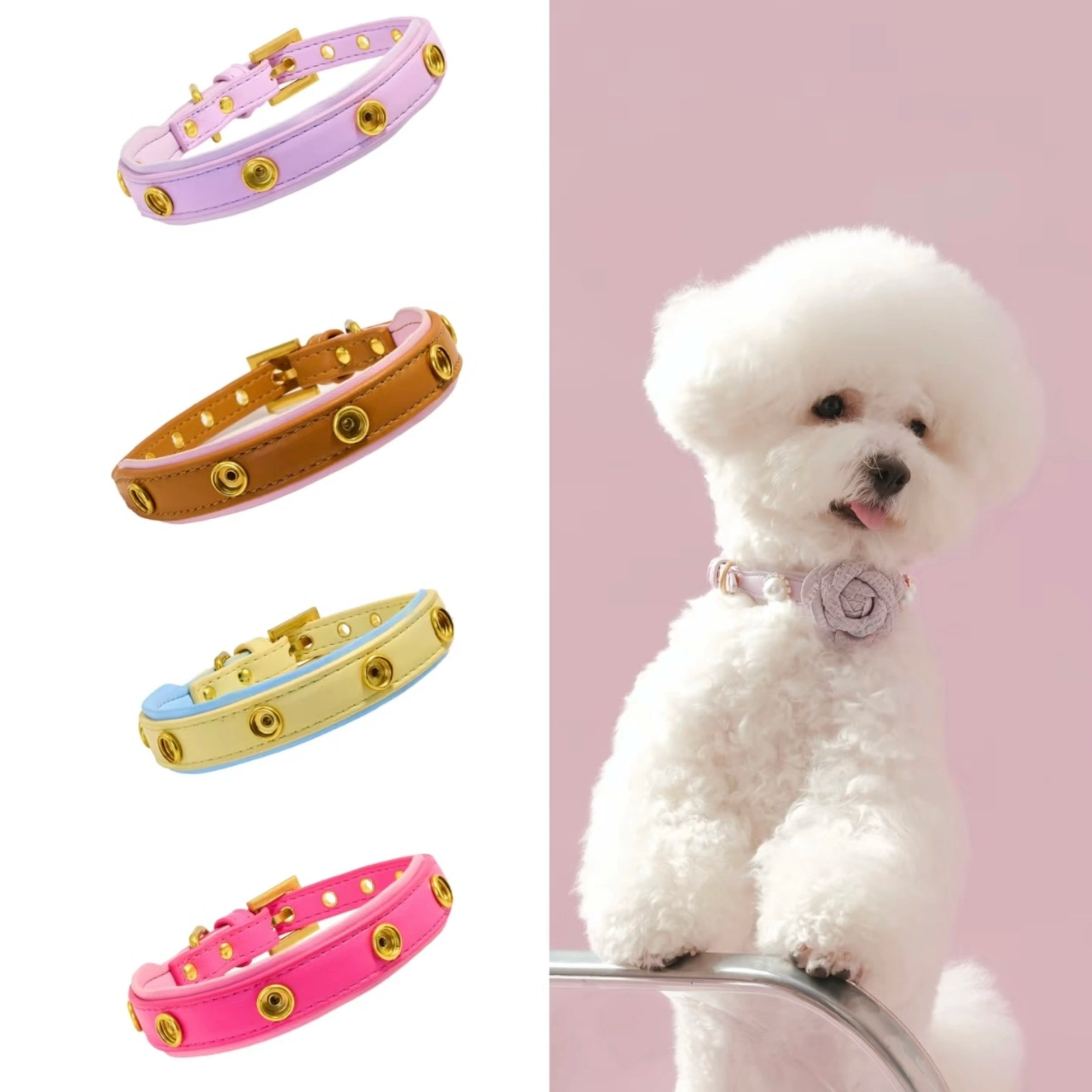 DIY Customizable Accessory Pet Collar