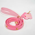 DIY Customizable Accessory Pet Leash