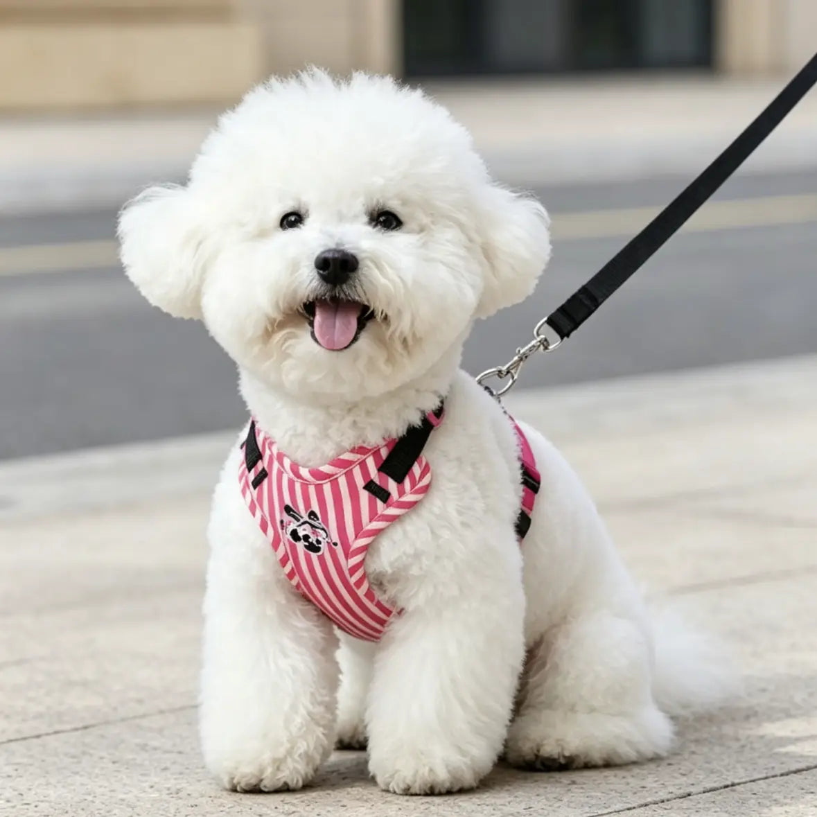Sweet Stripe Breathable Mesh Dog Harness & Leash Set(4 Colors)