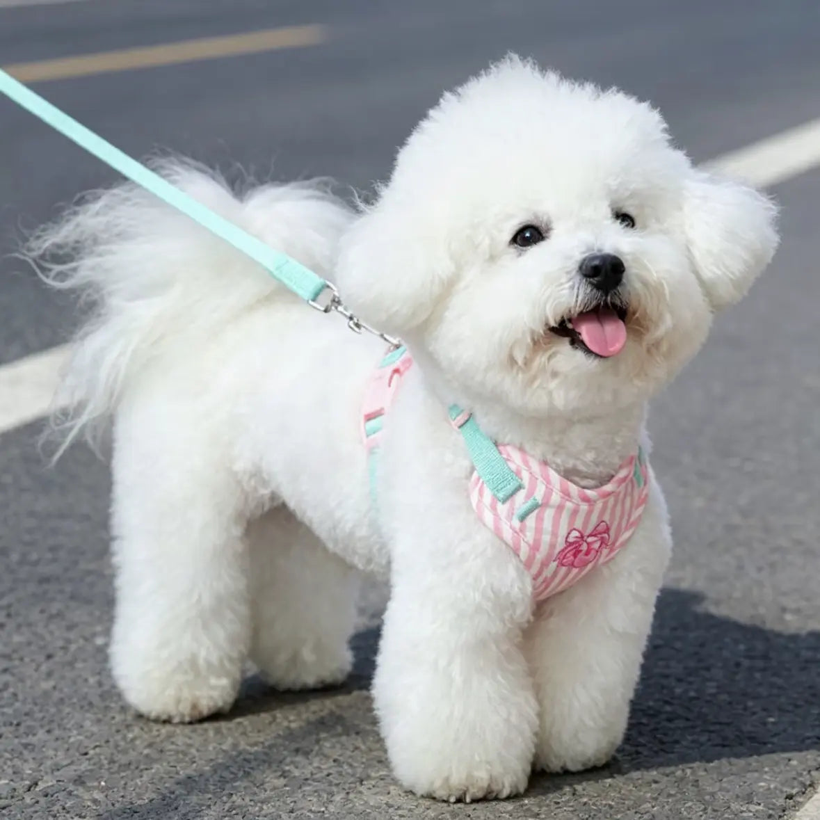 Sweet Stripe Breathable Mesh Dog Harness & Leash Set(4 Colors)