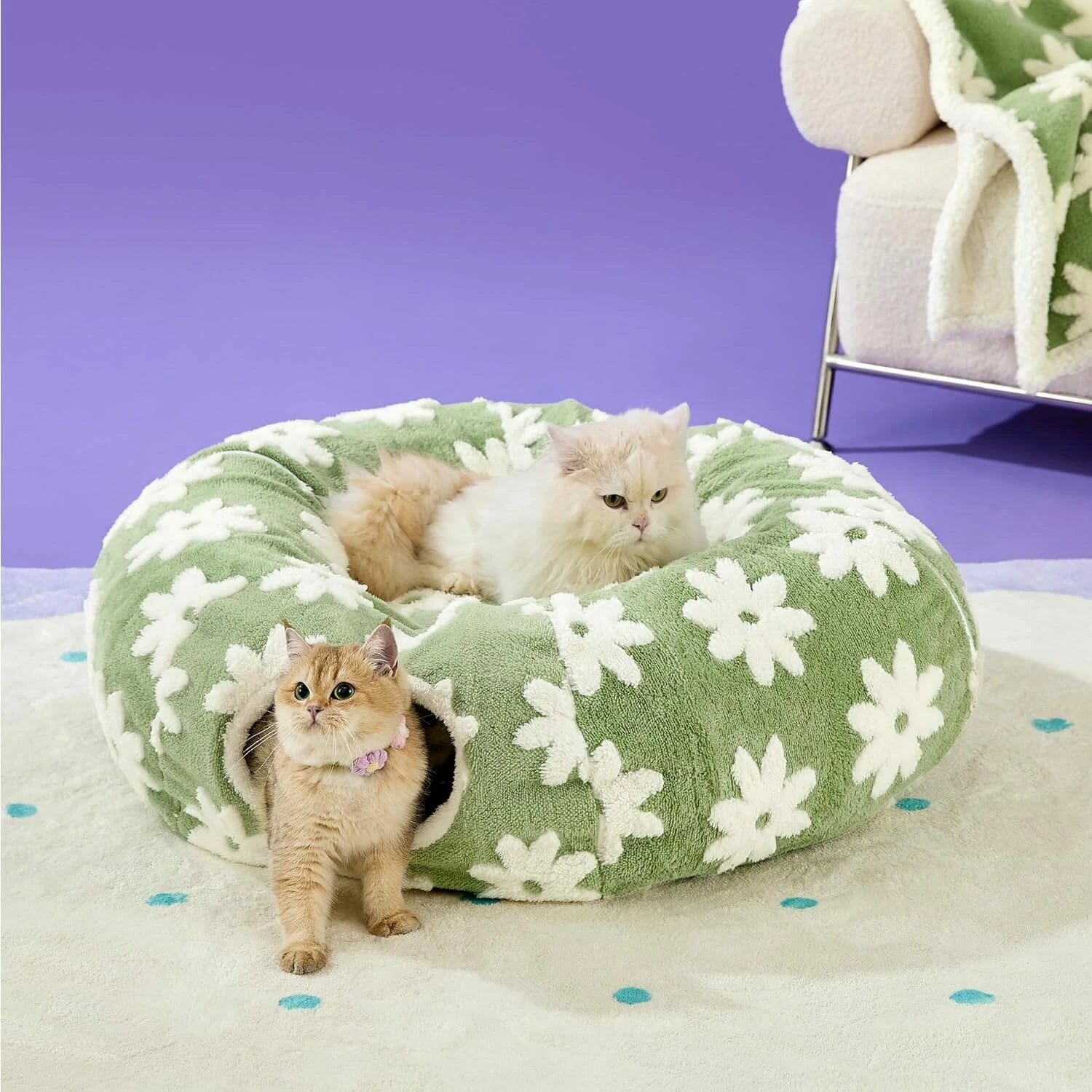 2-In-1 Play & Nap Tunnel Bed for Cats