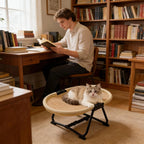All-Season Portable Elevated Breathable Pet Bed