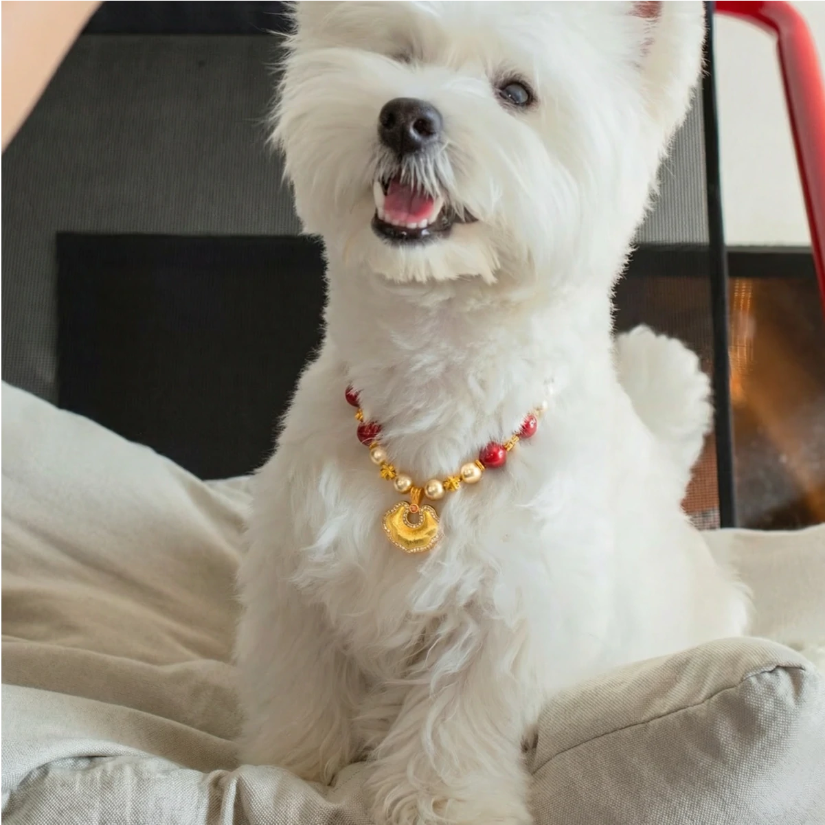 "Auspicious Ruyi" Red Agate & Pearl Pet Necklace