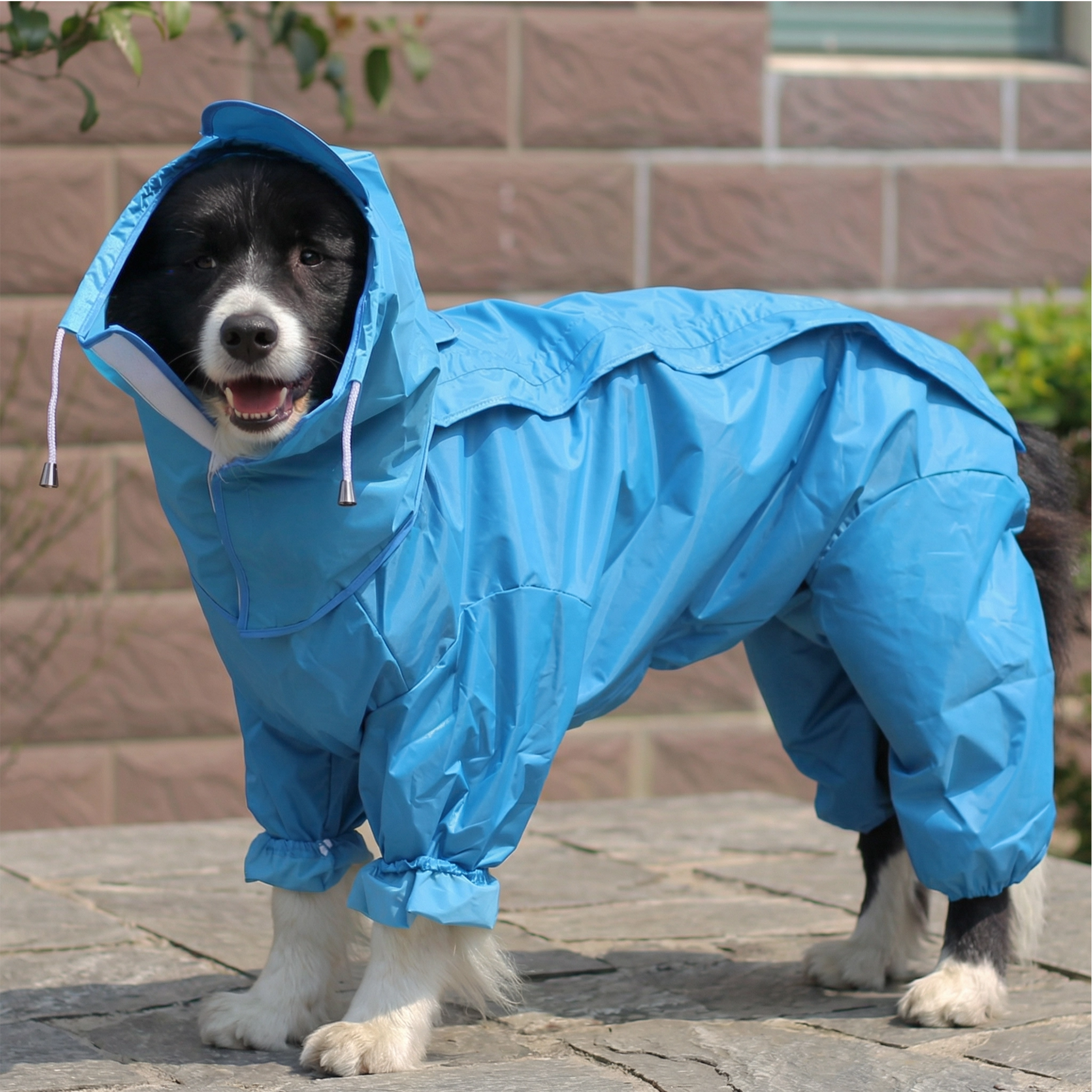 Full-Coverage Dog Raincoat