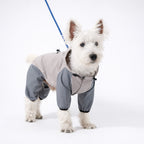 All-Weather Waterproof Dog Raincoat with Harness Hole