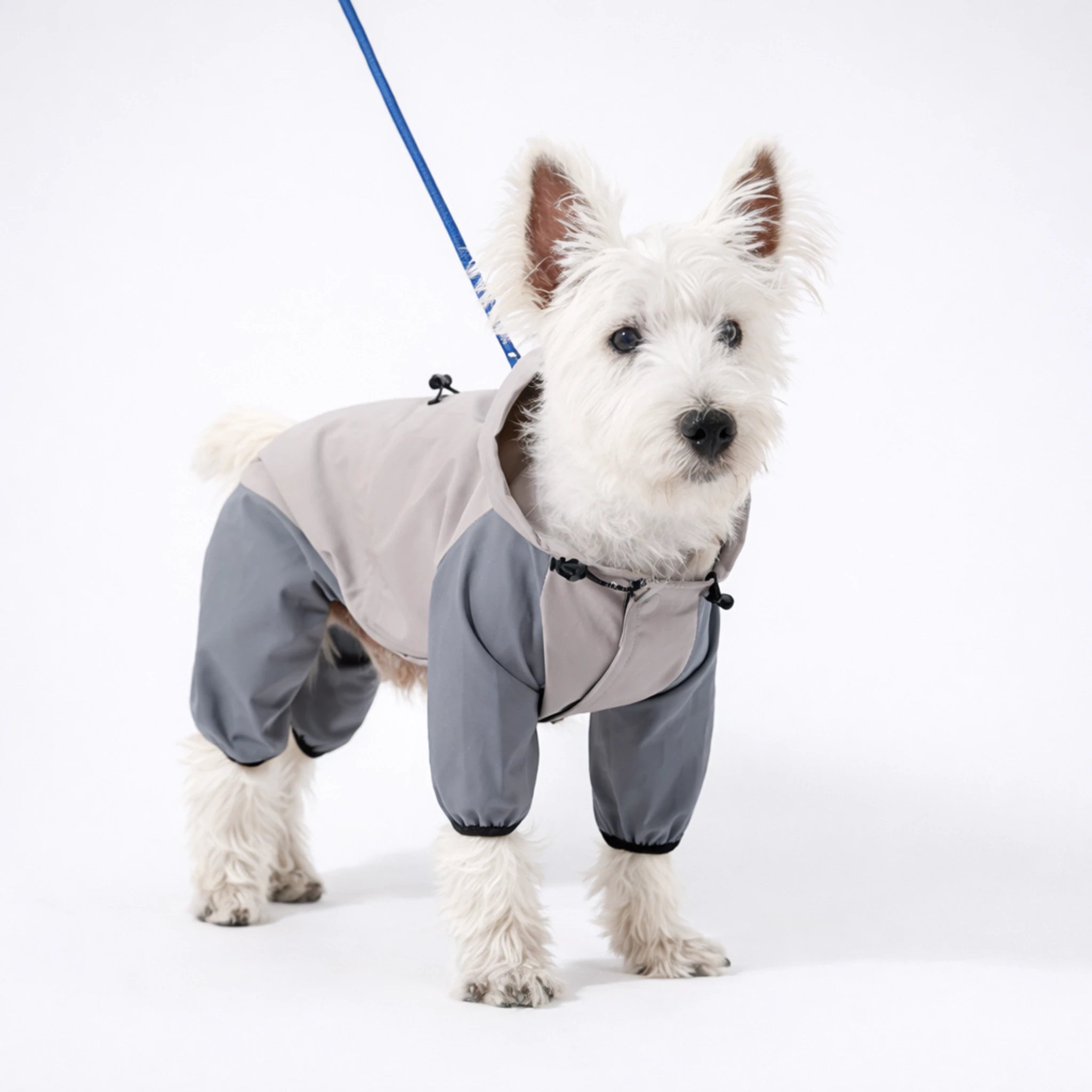 All-Weather Waterproof Dog Raincoat with Harness Hole
