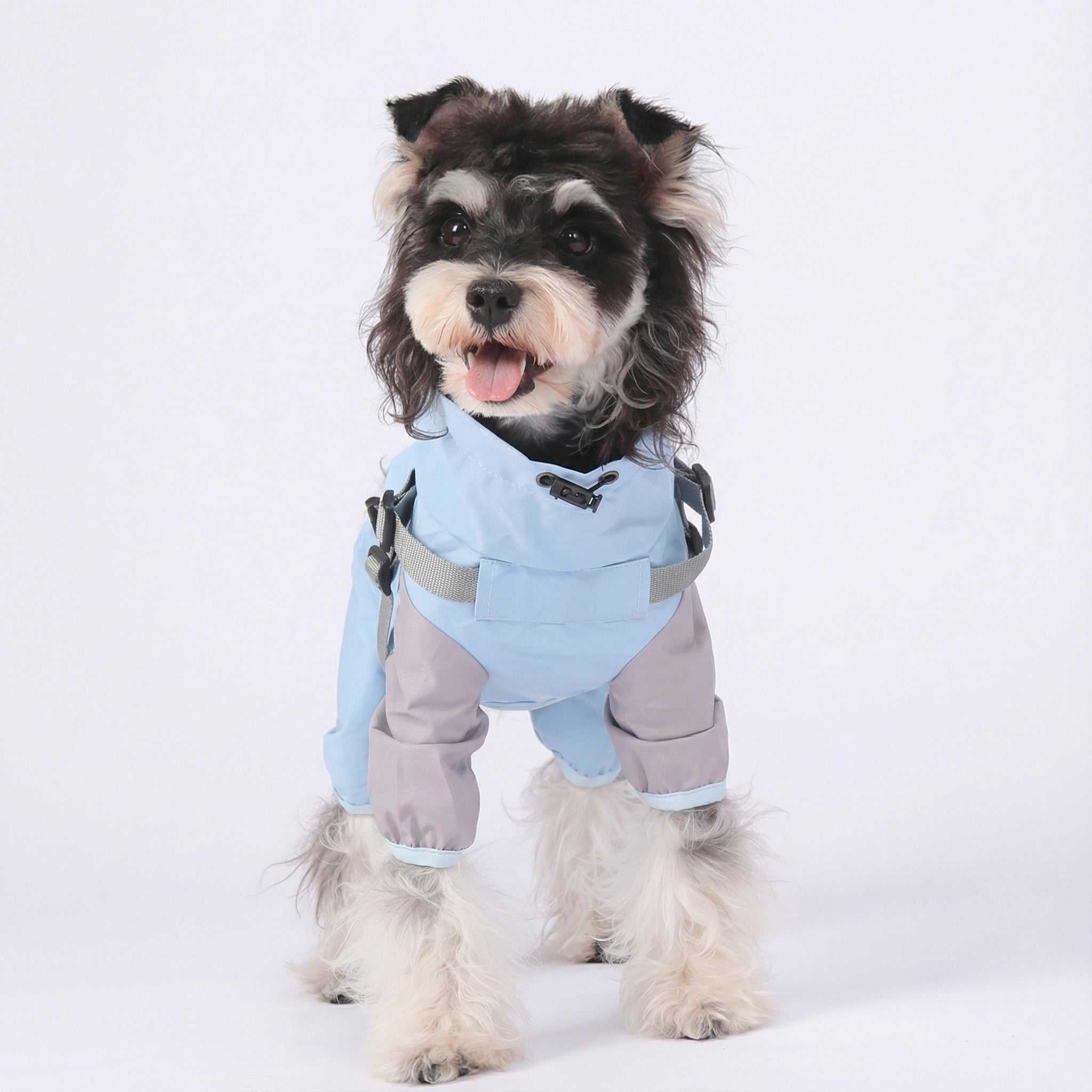 All-Weather Pet Raincoat