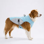 3-Layer Dog Cooling Vest