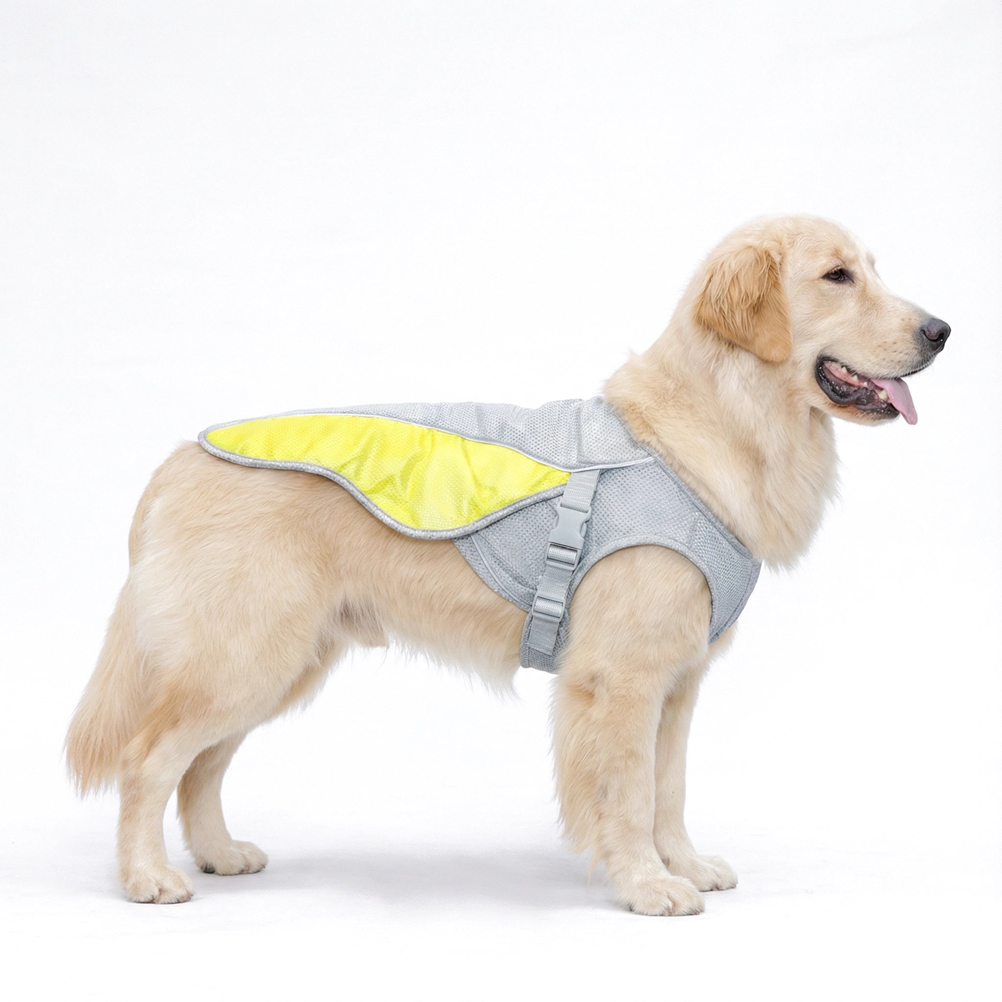 Instant Cooling Dog Vest