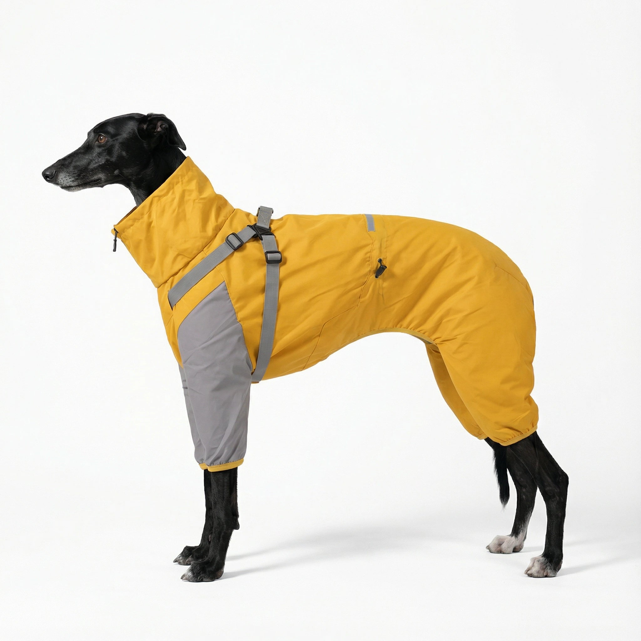 All-Weather Pet Raincoat