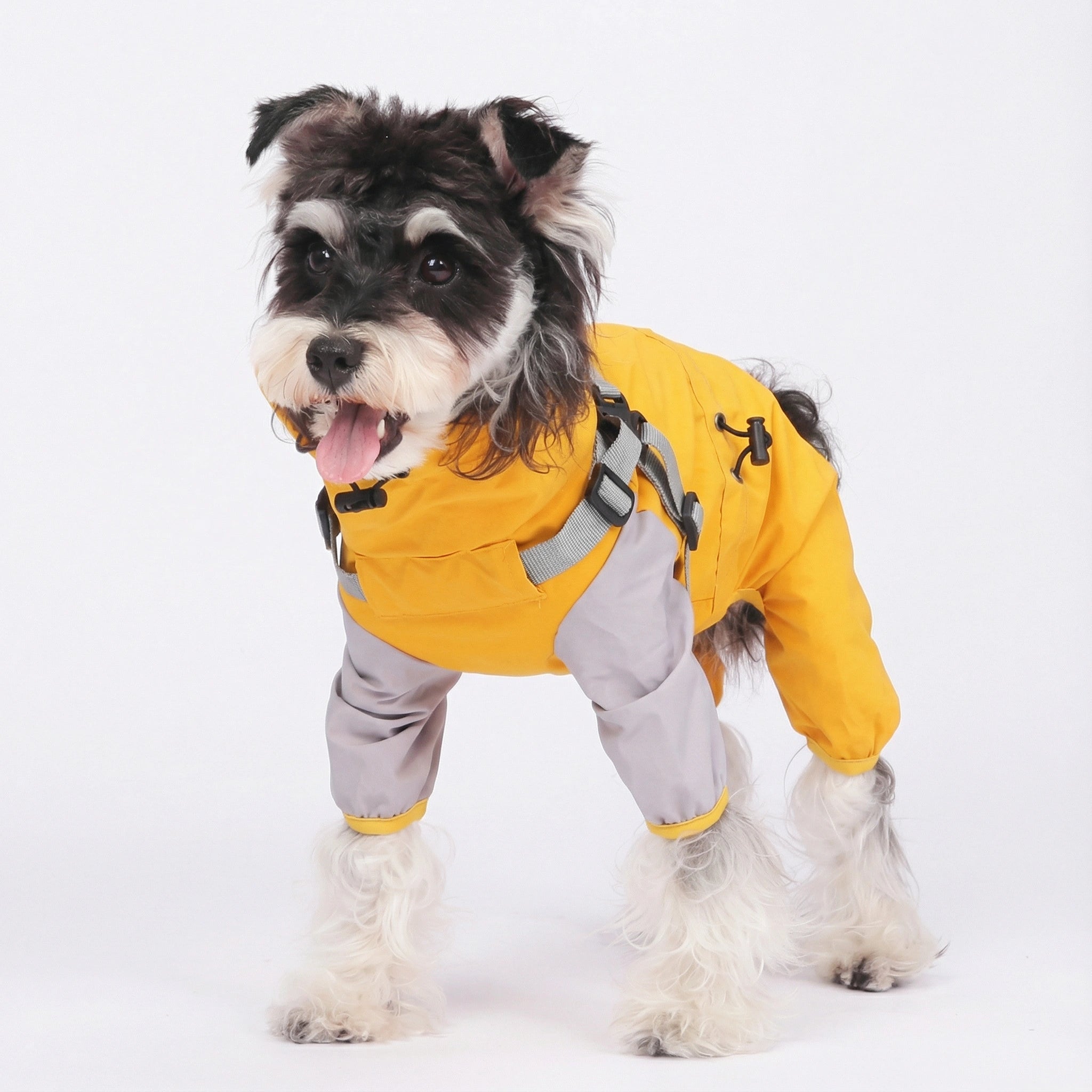 All-Weather Pet Raincoat