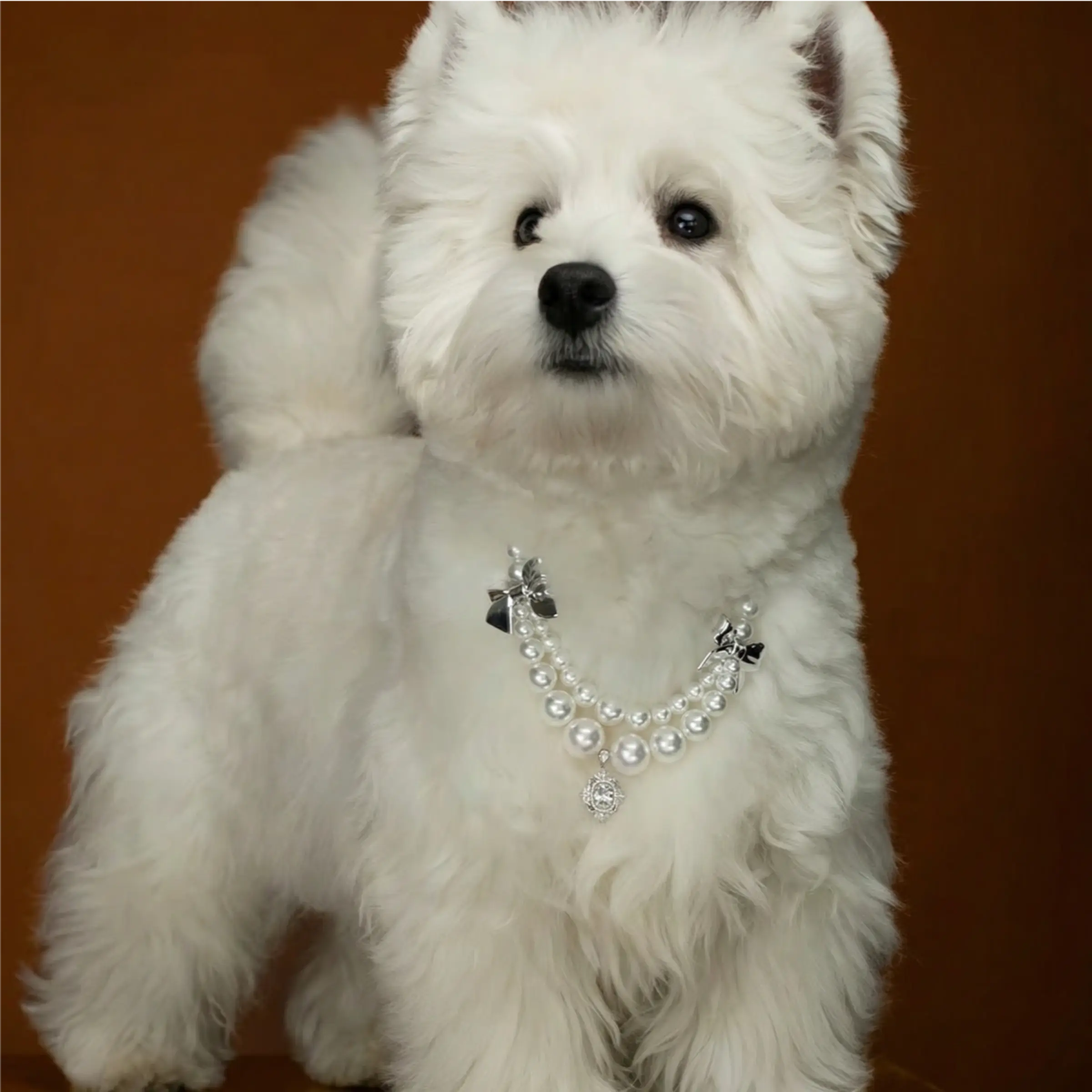 "Silver Bow" Double-Layer Shell Pearl Pet Necklace
