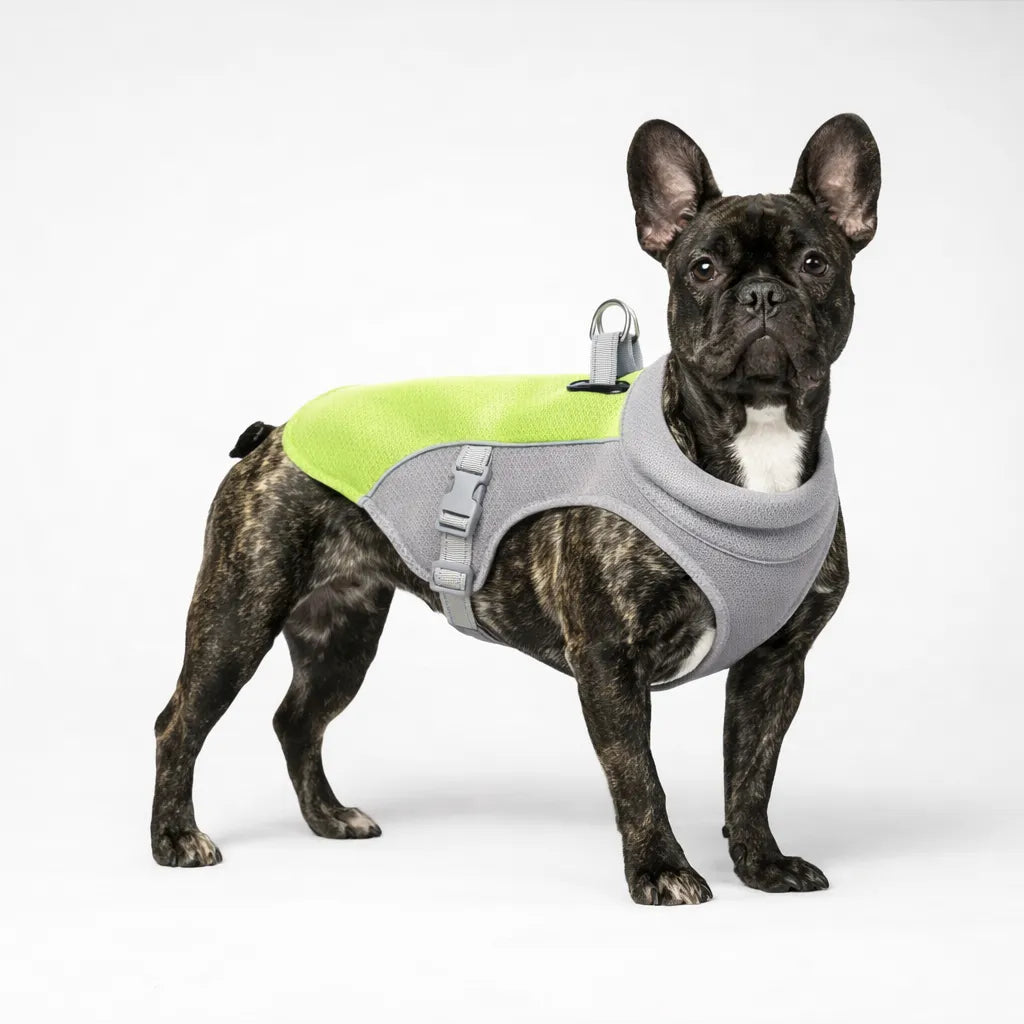 6th Gen Dog Cooling Vest - Instant Heat Relief