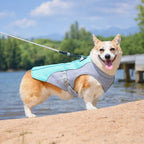 6th Gen Dog Cooling Vest - Instant Heat Relief