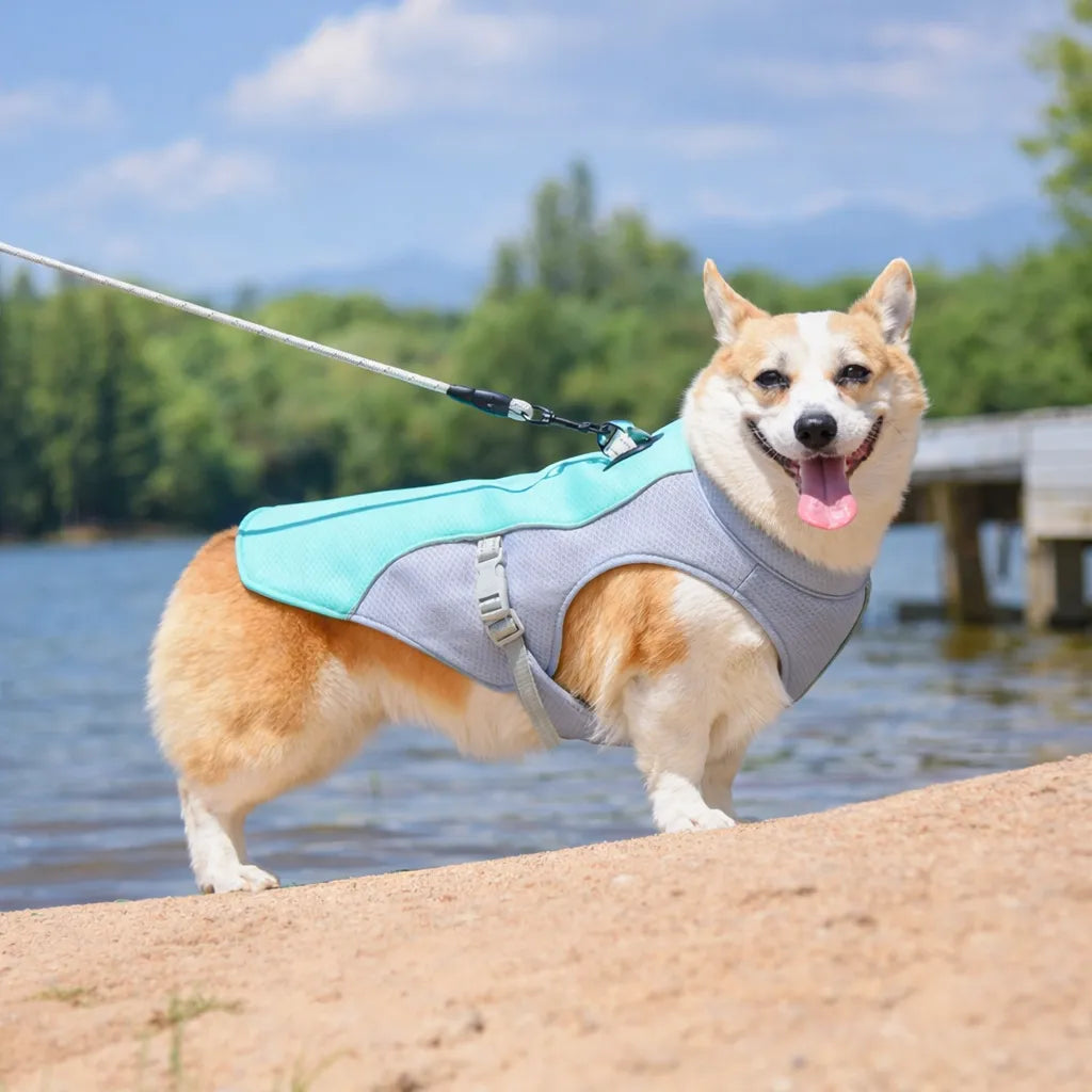 6th Gen Dog Cooling Vest - Instant Heat Relief