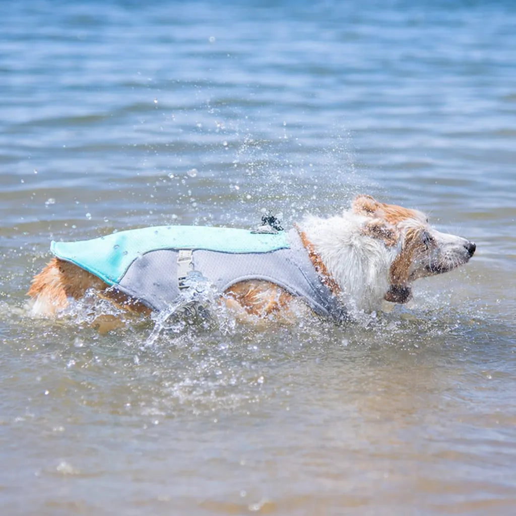 6th Gen Dog Cooling Vest - Instant Heat Relief