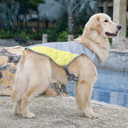 Instant Cooling Dog Vest
