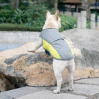 Instant Cooling Dog Vest
