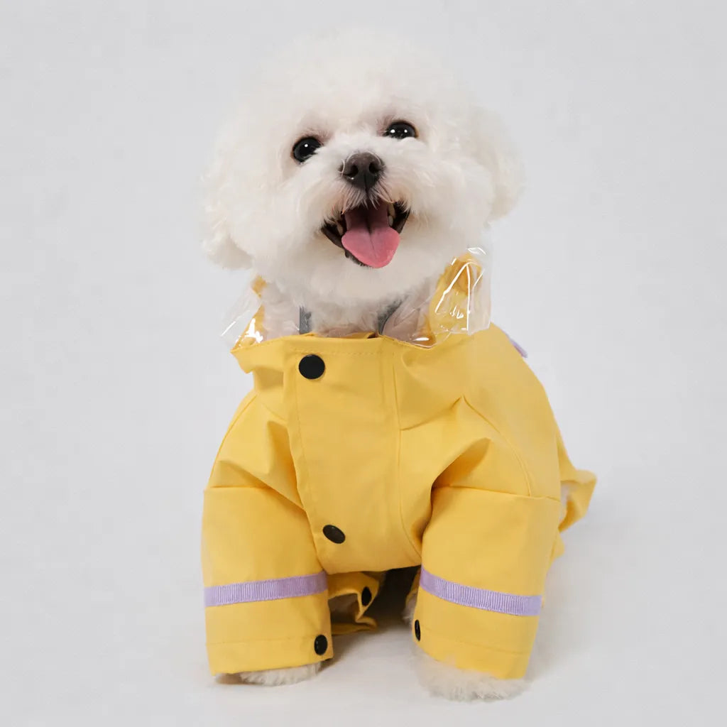 Pro Pet Raincoat for Small & Medium Dogs