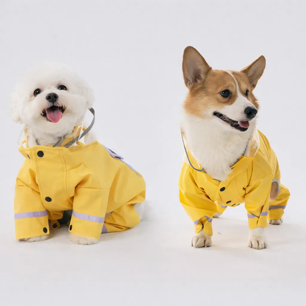 Pro Pet Raincoat for Small & Medium Dogs
