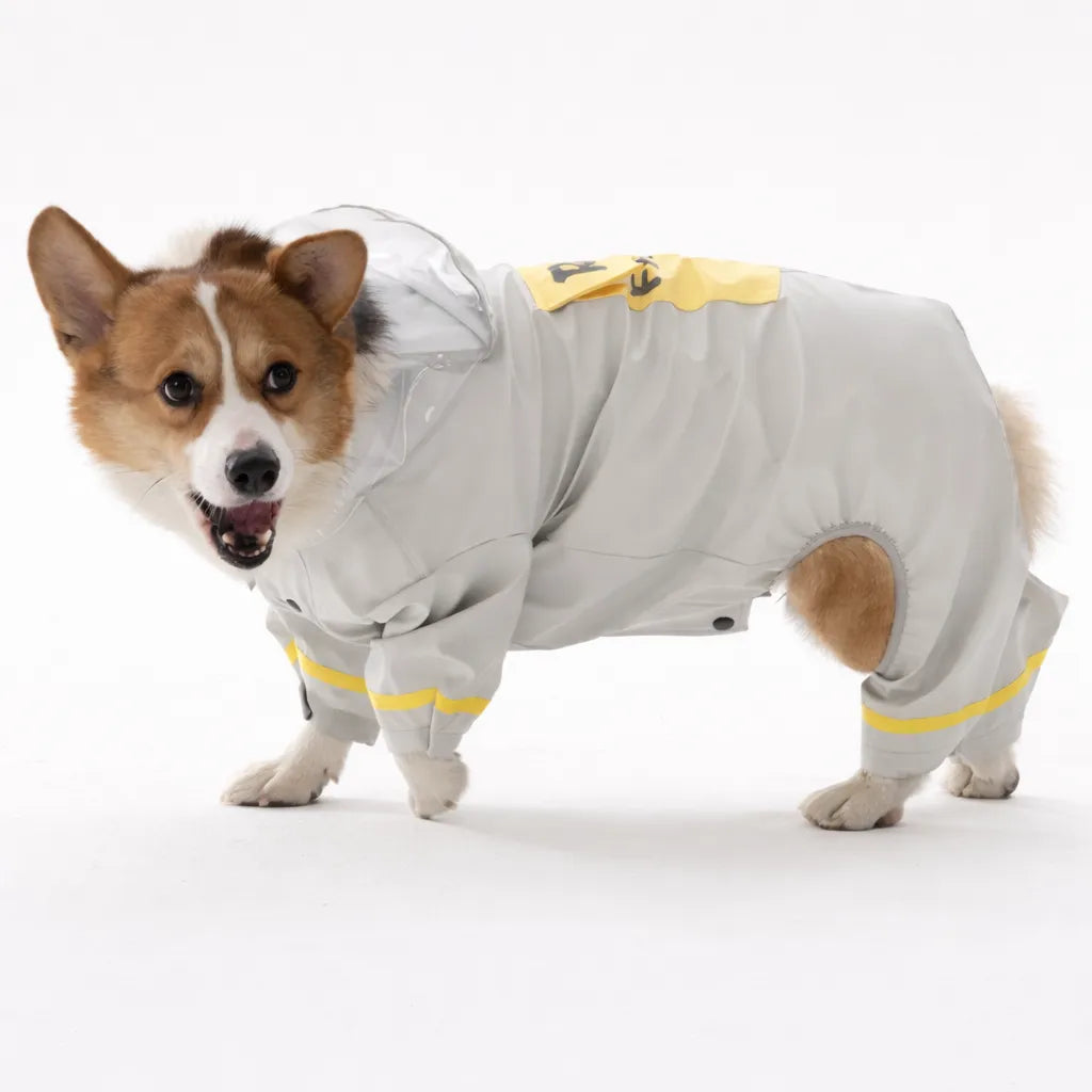 Pro Pet Raincoat for Small & Medium Dogs