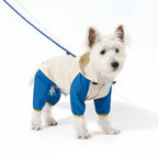 All-Weather Waterproof Dog Raincoat with Harness Hole
