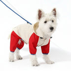 All-Weather Waterproof Dog Raincoat with Harness Hole