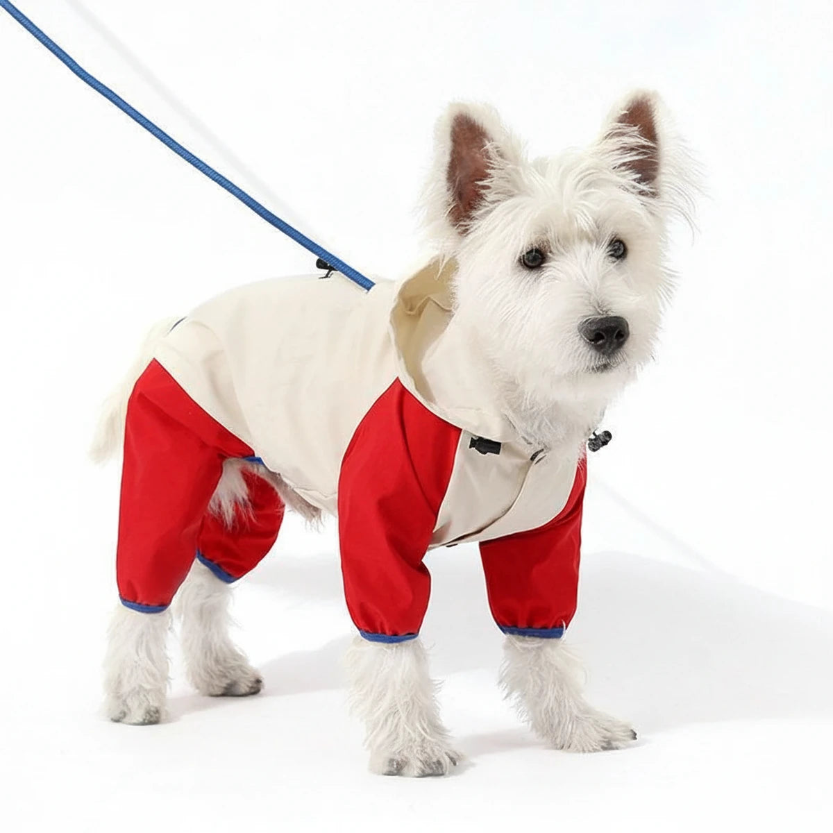 All-Weather Waterproof Dog Raincoat with Harness Hole