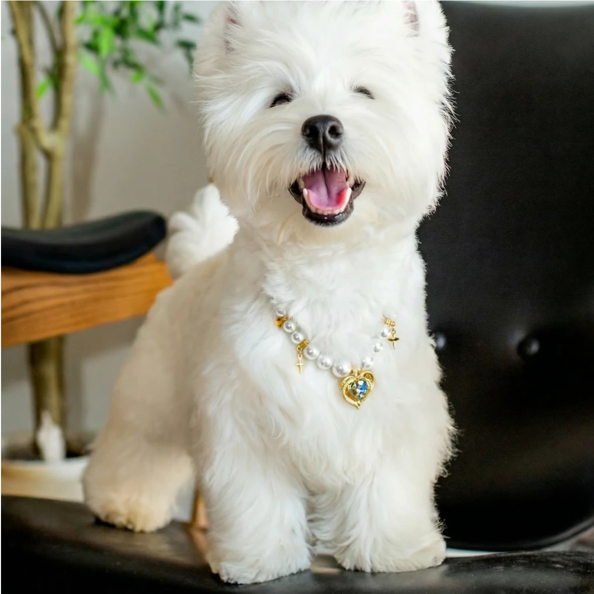 "Royal Heart" Premium Shell Pearl Pet Necklace