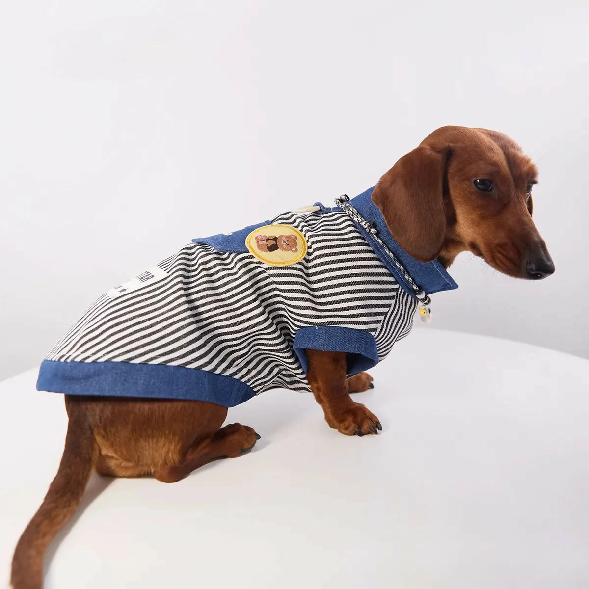 Classic Denim Striped Pet Shirt