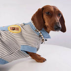Classic Denim Striped Pet Shirt