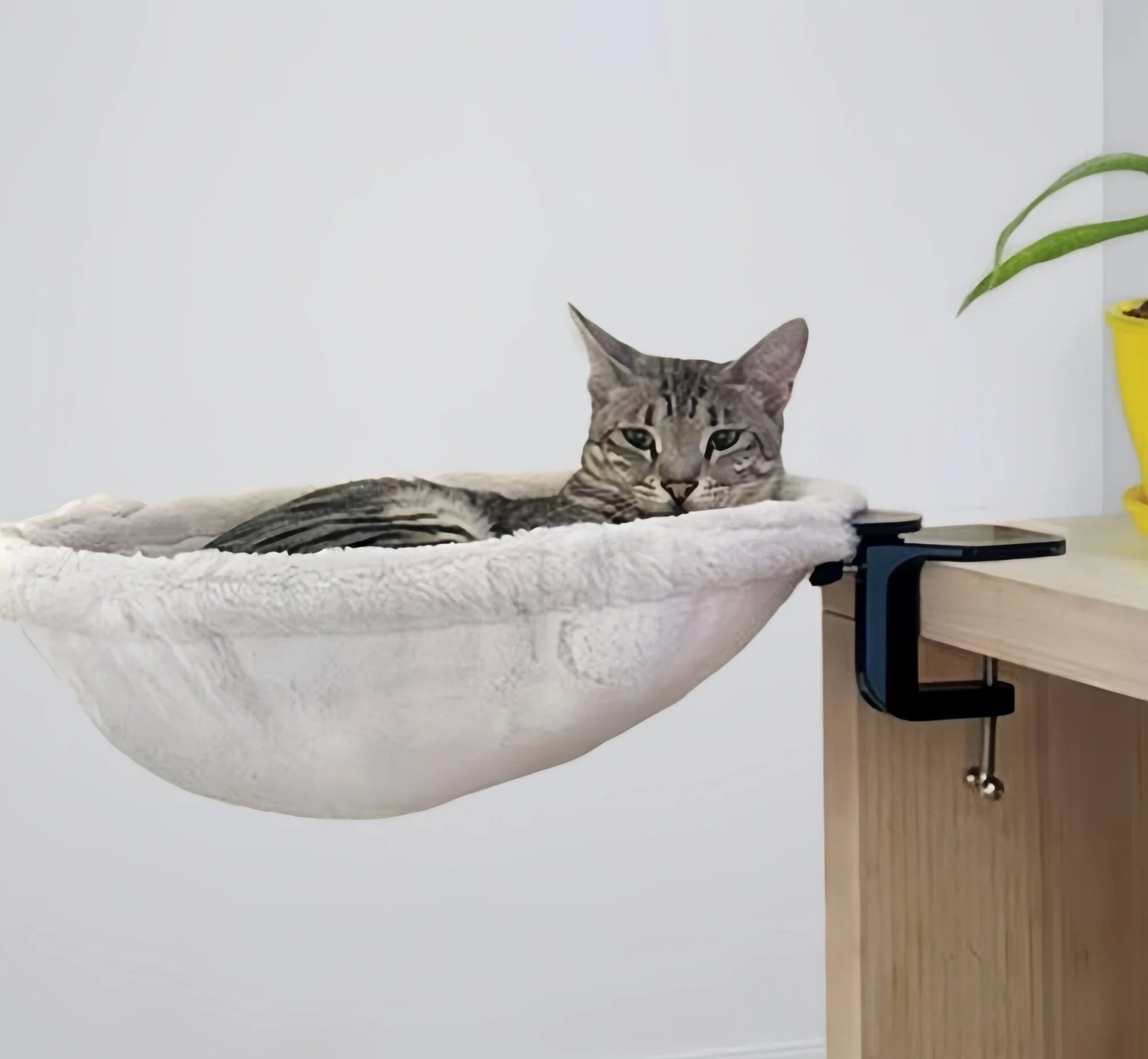 Desk Cat Lounge Bed