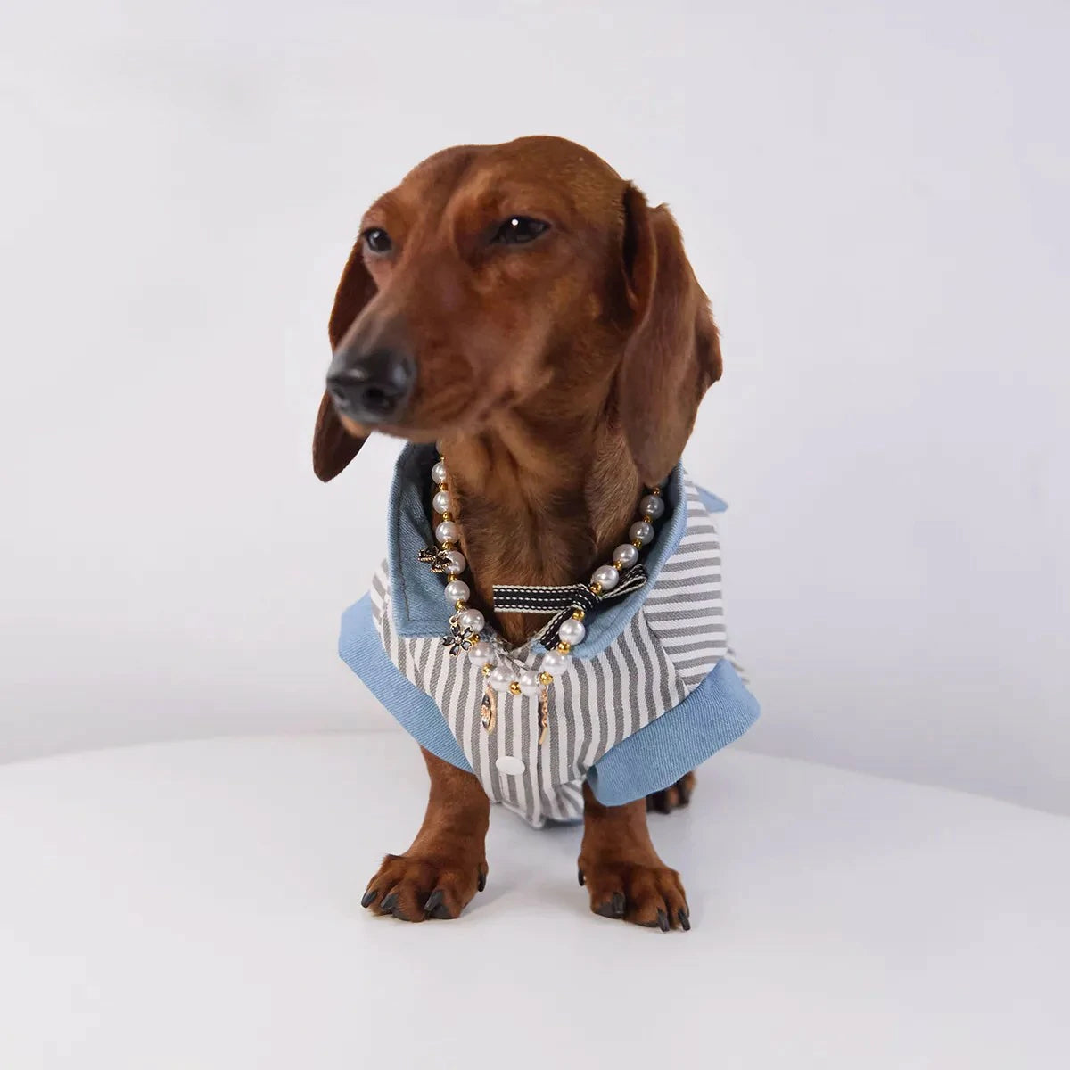 Classic Denim Striped Pet Shirt