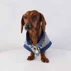 Classic Denim Striped Pet Shirt