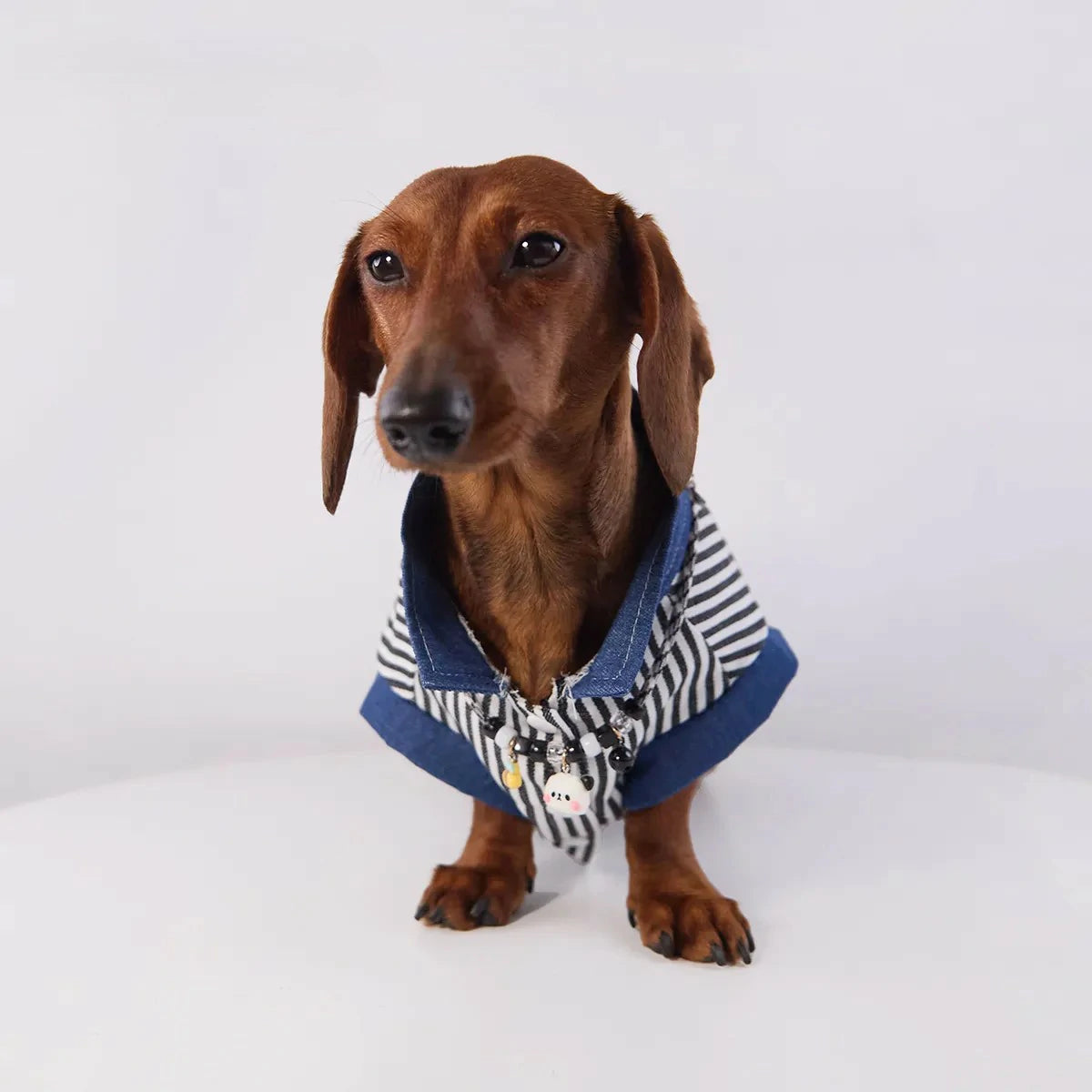 Classic Denim Striped Pet Shirt